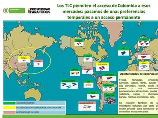 Los TLC permiten el acceso de Colombia a esos
mercados: pasamos de unas preferencias
temporales a un acceso permanente
MEXICO
CAN
MERCOSU
R
EEUU
CANADA
CHILE
EFTA
VENEZUELA
CARICOM
COREA
JAPÓN
PANAMÁ
ALIANZA PACÍFICO
TURQUÍA
ACUERDOS VIGENTES
ACUERDOS SUSCRITOS PENDIENTES DE RATIFICACIÓN
NEGOCIACIONES EN CURSO
ISRAEL
COSTA RICA
UE
TRINAGULO NORTE
Oportunidades de exportación
Frutas, hortalizas, productos
cárnicos, tabaco, flores, azúcar y
sus derivados, etanol, aceite de
palma y sus derivados
preparaciones alimenticias, pastas y
galletería, cacao y chocolate
panela, hierbas aromáticas, café.
Se requiere también de un
importante esfuerzo por parte de
sector privado para conquistar y/o
consolidar estos mercados
 