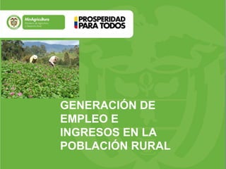 GENERACIÓN DE
EMPLEO E
INGRESOS EN LA
POBLACIÓN RURAL
 