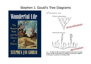 Stephen J. Gould's Tree Diagrams
diversification
decimation
 