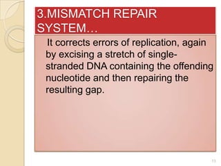 3.MISMATCH REPAIR SYSTEM…   It corrects errors of replication, again by excising a stretch of single-stranded DNA containing the offending nucleotide and then repairing the resulting gap.13
