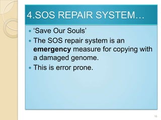 4.SOS REPAIR SYSTEM…‘Save Our Souls’The SOS repair system is an emergency measure for copying with a damaged genome.This is error prone.16