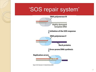         ‘SOS repair system’17