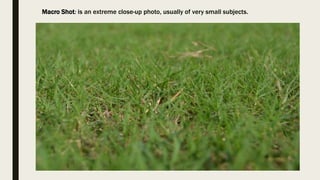 Macro Shot: is an extreme close-up photo, usually of very small subjects.
 