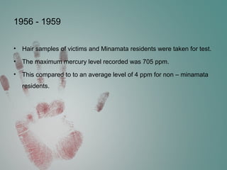1956 - 1959
• Hair samples of victims and Minamata residents were taken for test.
• The maximum mercury level recorded was 705 ppm.
• This compared to to an average level of 4 ppm for non – minamata
residents.
 