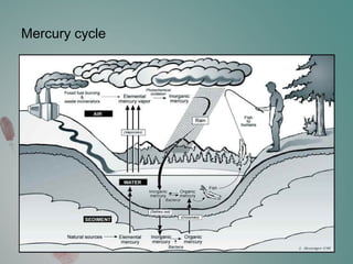 Mercury cycle
 