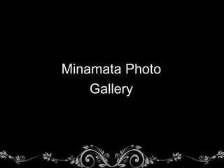Minamata Photo
Gallery
 