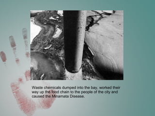 Waste chemicals dumped into the bay, worked their
way up the food chain to the people of the city and
caused the Minamata Disease.
 