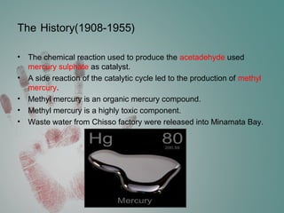The History(1908-1955)
• The chemical reaction used to produce the acetadehyde used
mercury sulphate as catalyst.
• A side reaction of the catalytic cycle led to the production of methyl
mercury.
• Methyl mercury is an organic mercury compound.
• Methyl mercury is a highly toxic component.
• Waste water from Chisso factory were released into Minamata Bay.
 