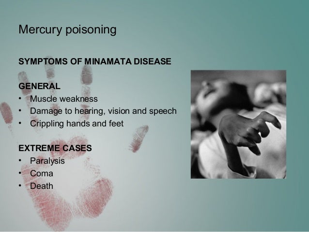 minamata mercury poisoning