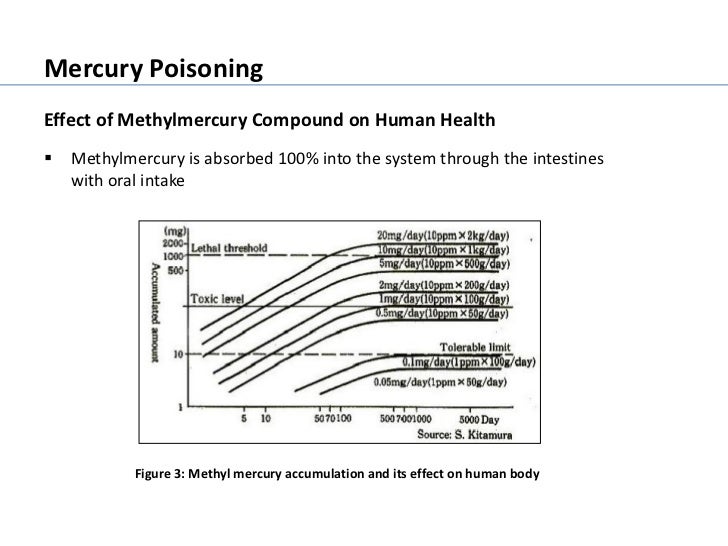 Minamata Mercury Pollution