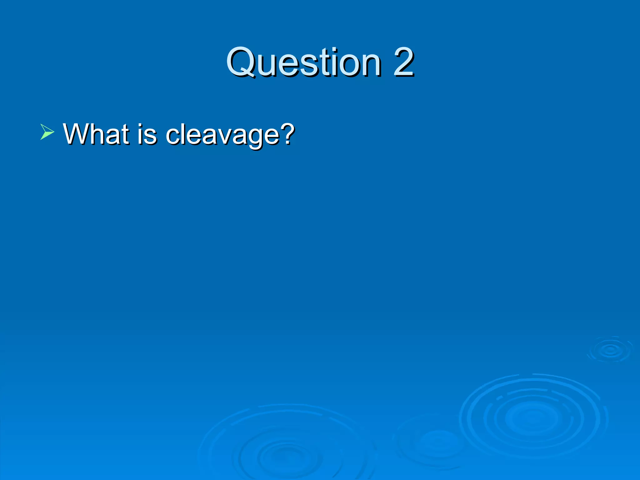 Question 2 What is cleavage? 