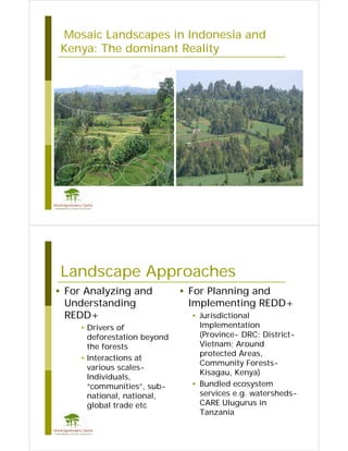 Landscape Aproaches: The place of Agroforestry, afforestation and reforestation in REDD+