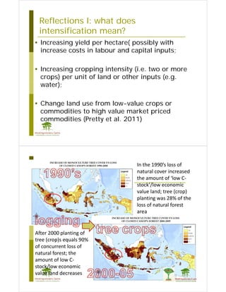 Landscape Aproaches: The place of Agroforestry, afforestation and reforestation in REDD+