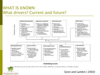 Drivers of deforestation and forest degradation from Montreal to Canada