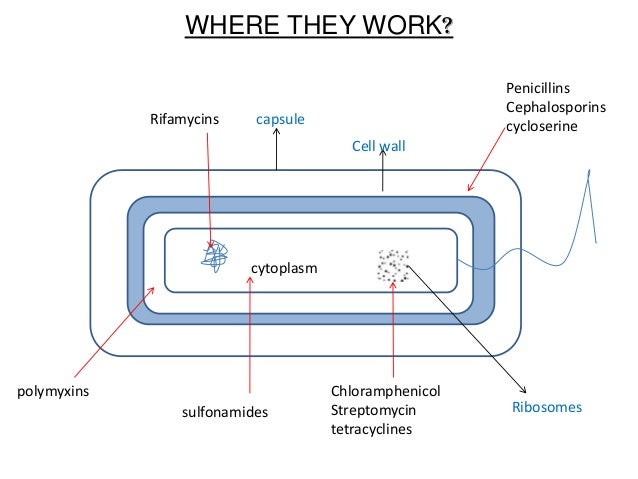 Antibacterial Agents