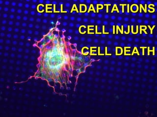 CELL ADAPTATIONS
CELL INJURY
CELL DEATH

 