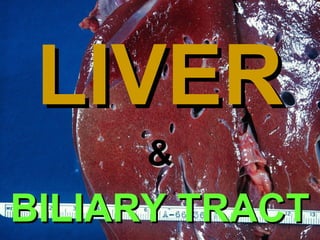 Chapter 18

LIVER
&

BILIARY TRACT

 