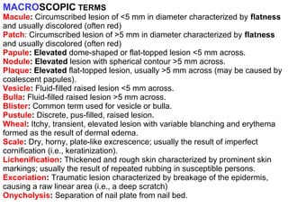 MACROSCOPIC TERMS

Macule: Circumscribed lesion of <5 mm in diameter characterized by flatness
and usually discolored (often red)
Patch: Circumscribed lesion of >5 mm in diameter characterized by flatness
and usually discolored (often red)
Papule: Elevated dome-shaped or flat-topped lesion <5 mm across.
Nodule: Elevated lesion with spherical contour >5 mm across.
Plaque: Elevated flat-topped lesion, usually >5 mm across (may be caused by
coalescent papules).
Vesicle: Fluid-filled raised lesion <5 mm across.
Bulla: Fluid-filled raised lesion >5 mm across.
Blister: Common term used for vesicle or bulla.
Pustule: Discrete, pus-filled, raised lesion.
Wheal: Itchy, transient, elevated lesion with variable blanching and erythema
formed as the result of dermal edema.
Scale: Dry, horny, plate-like excrescence; usually the result of imperfect
cornification (i.e., keratinization).
Lichenification: Thickened and rough skin characterized by prominent skin
markings; usually the result of repeated rubbing in susceptible persons.
Excoriation: Traumatic lesion characterized by breakage of the epidermis,
causing a raw linear area (i.e., a deep scratch)
Onycholysis: Separation of nail plate from nail bed.

 