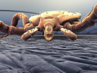 Minarcik robbins 2013_ch25-skin