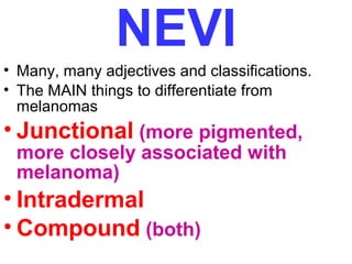 NEVI
• Many, many adjectives and classifications.
• The MAIN things to differentiate from
melanomas

• Junctional (more pigmented,
more closely associated with
melanoma)

• Intradermal
• Compound (both)

 