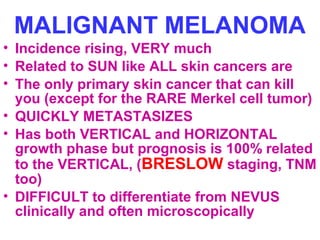 MALIGNANT MELANOMA
• Incidence rising, VERY much
• Related to SUN like ALL skin cancers are
• The only primary skin cancer that can kill
you (except for the RARE Merkel cell tumor)
• QUICKLY METASTASIZES
• Has both VERTICAL and HORIZONTAL
growth phase but prognosis is 100% related
to the VERTICAL, (BRESLOW staging, TNM
too)
• DIFFICULT to differentiate from NEVUS
clinically and often microscopically

 