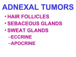 ADNEXAL TUMORS
• HAIR FOLLICLES
• SEBACEOUS GLANDS
• SWEAT GLANDS
–ECCRINE
–APOCRINE

 