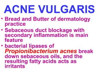 ACNE VULGARIS
• Bread and Butter of dermatology
practice
• Sebaceous duct blockage with
secondary inflammation is main
feature
• bacterial lipases of
Propionibacterium acnes break
down sebaceous oils, and the
resulting fatty acids acts as
irritants

 