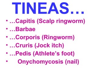 TINEAS…
• …Capitis (Scalp ringworm)
• …Barbae
• …Corporis (Ringworm)
• …Cruris (Jock itch)
• …Pedis (Athlete’s foot)
•
Onychomycosis (nail)

 