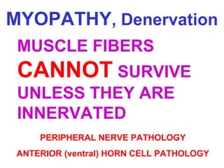 MYOPATHY, Denervation
MUSCLE FIBERS

CANNOT SURVIVE
UNLESS THEY ARE
INNERVATED
PERIPHERAL NERVE PATHOLOGY
ANTERIOR (ventral) HORN CELL PATHOLOGY

 