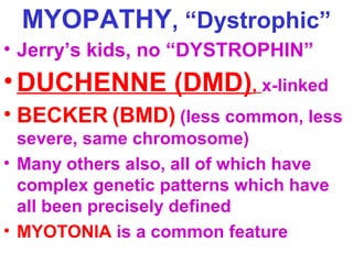 MYOPATHY, “Dystrophic”
• Jerry’s kids, no “DYSTROPHIN”

• DUCHENNE (DMD), x-linked
• BECKER (BMD) (less common, less
severe, same chromosome)
• Many others also, all of which have
complex genetic patterns which have
all been precisely defined
• MYOTONIA is a common feature

 