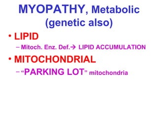 MYOPATHY, Metabolic
(genetic also)
• LIPID
– Mitoch. Enz. Def. LIPID ACCUMULATION

• MITOCHONDRIAL
– “PARKING

LOT” mitochondria

 