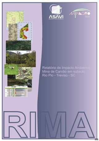 RIMA – Relatório de Impacto Ambiental
Mina Rio Pio
Página 1 de 18
MINAGEO Ltda
235
 