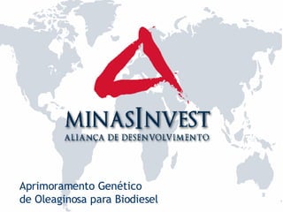 Aprimoramento Genético  de Oleaginosa para Biodiesel 
