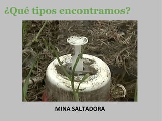 ¿Qué tipos encontramos? MINA SALTADORA 