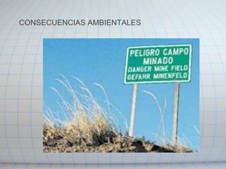 CONSECUENCIAS AMBIENTALES 