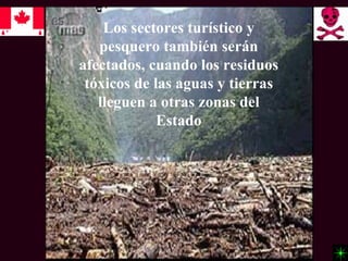 Los sectores turístico y
   pesquero también serán
afectados, cuando los residuos
 tóxicos de las aguas y tierras
   lleguen a otras zonas del
             Estado
 