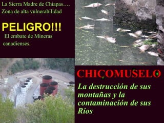La Sierra Madre de Chiapas….
Zona de alta vulnerabilidad


PELIGRO!!!
 El embate de Mineras
canadienses.




                               CHICOMUSELO
                               La destrucción de sus
                               montañas y la
                               contaminación de sus
                               Ríos
 
