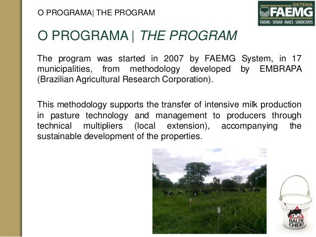 Eficincia reprodutiva das vacas leiteiras