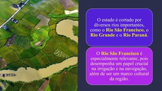 O estado é cortado por
diversos rios importantes,
como o Rio São Francisco, o
Rio Grande e o Rio Paraná.
O Rio São Francisco é
especialmente relevante, pois
desempenha um papel crucial
na irrigação e na navegação,
além de ser um marco cultural
da região.
 