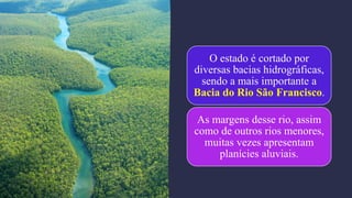 O estado é cortado por
diversas bacias hidrográficas,
sendo a mais importante a
Bacia do Rio São Francisco.
As margens desse rio, assim
como de outros rios menores,
muitas vezes apresentam
planícies aluviais.
 
