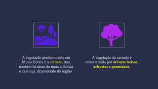 A vegetação predominante em
Minas Gerais é o cerrado, mas
também há áreas de mata atlântica
e caatinga, dependendo da região.
A vegetação de cerrado é
caracterizada por árvores baixas,
arbustos e gramíneas.
 