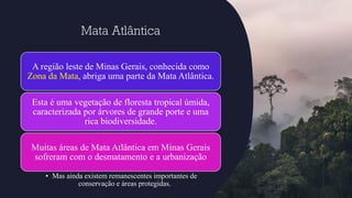 Mata Atlântica
A região leste de Minas Gerais, conhecida como
Zona da Mata, abriga uma parte da Mata Atlântica.
Esta é uma vegetação de floresta tropical úmida,
caracterizada por árvores de grande porte e uma
rica biodiversidade.
Muitas áreas de Mata Atlântica em Minas Gerais
sofreram com o desmatamento e a urbanização
• Mas ainda existem remanescentes importantes de
conservação e áreas protegidas.
 