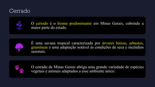 Cerrado
O cerrado é o bioma predominante em Minas Gerais, cobrindo a
maior parte do estado.
É uma savana tropical caracterizada por árvores baixas, arbustos,
gramíneas e uma adaptação notável às condições de seca e incêndios
sazonais.
O cerrado de Minas Gerais abriga uma grande variedade de espécies
vegetais e animais adaptados a esse ambiente único.
 