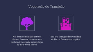 Vegetação de Transição
Nas áreas de transição entre os
biomas, é comum encontrar uma
mistura de vegetação característica
de mais de um bioma.
Isso cria uma grande diversidade
de flora e fauna nessas regiões.
 