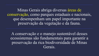 Minas Gerais abriga diversas áreas de
conservação, como parques estaduais e nacionais,
que desempenham um papel importante na
preservação da vegetação e da fauna.
A conservação e o manejo sustentável desses
ecossistemas são fundamentais para garantir a
preservação da rica biodiversidade de Minas
Gerais.
 