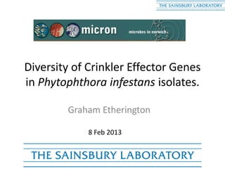 Diversity of Crinkler Effector Genes
in Phytophthora infestans isolates.
Graham Etherington
8 Feb 2013
 