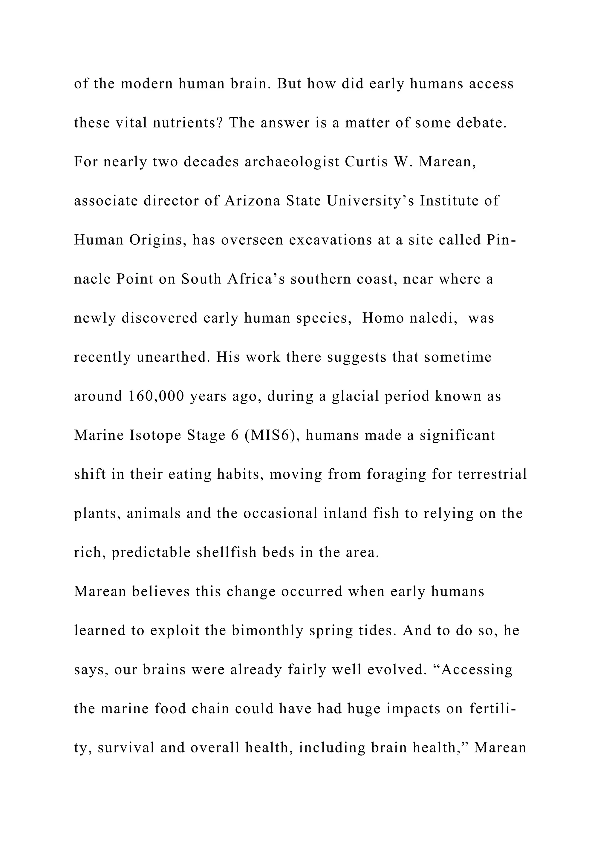 of the modern human brain. But how did early humans access
these vital nutrients? The answer is a matter of some debate.
For nearly two decades archaeologist Curtis W. Marean,
associate director of Arizona State University’s Institute of
Human Origins, has overseen excavations at a site called Pin-
nacle Point on South Africa’s southern coast, near where a
newly discovered early human species, Homo naledi, was
recently unearthed. His work there suggests that sometime
around 160,000 years ago, during a glacial period known as
Marine Isotope Stage 6 (MIS6), humans made a significant
shift in their eating habits, moving from foraging for terrestrial
plants, animals and the occasional inland fish to relying on the
rich, predictable shellfish beds in the area.
Marean believes this change occurred when early humans
learned to exploit the bimonthly spring tides. And to do so, he
says, our brains were already fairly well evolved. “Accessing
the marine food chain could have had huge impacts on fertili-
ty, survival and overall health, including brain health,” Marean
 