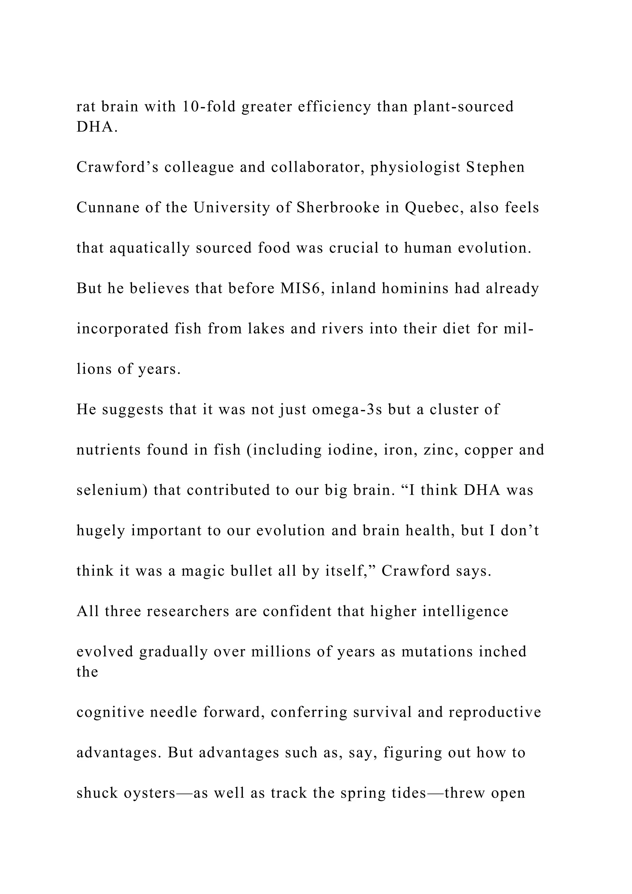 rat brain with 10-fold greater efficiency than plant-sourced
DHA.
Crawford’s colleague and collaborator, physiologist Stephen
Cunnane of the University of Sherbrooke in Quebec, also feels
that aquatically sourced food was crucial to human evolution.
But he believes that before MIS6, inland hominins had already
incorporated fish from lakes and rivers into their diet for mil-
lions of years.
He suggests that it was not just omega-3s but a cluster of
nutrients found in fish (including iodine, iron, zinc, copper and
selenium) that contributed to our big brain. “I think DHA was
hugely important to our evolution and brain health, but I don’t
think it was a magic bullet all by itself,” Crawford says.
All three researchers are confident that higher intelligence
evolved gradually over millions of years as mutations inched
the
cognitive needle forward, conferring survival and reproductive
advantages. But advantages such as, say, figuring out how to
shuck oysters—as well as track the spring tides—threw open
 