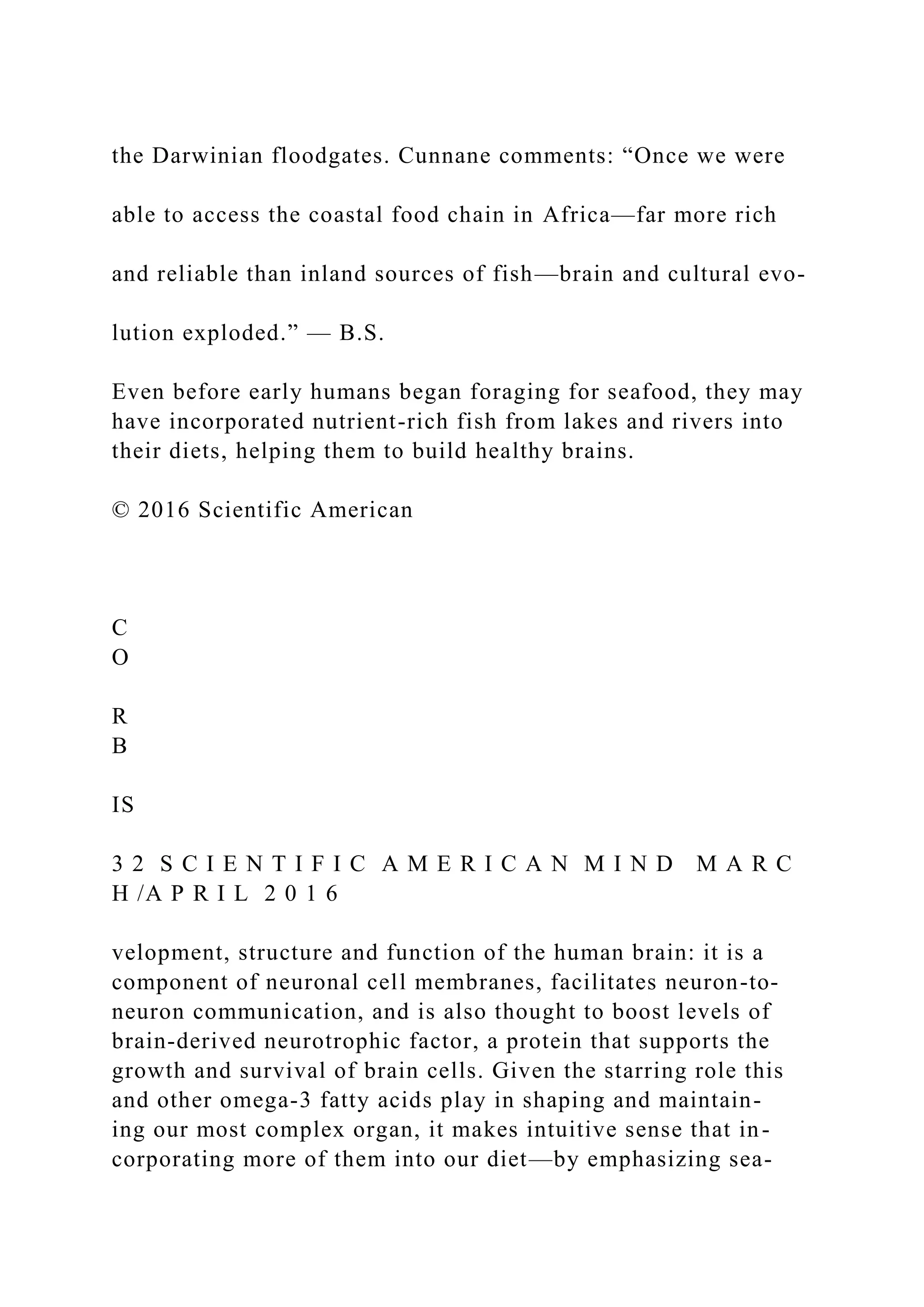the Darwinian floodgates. Cunnane comments: “Once we were
able to access the coastal food chain in Africa—far more rich
and reliable than inland sources of fish—brain and cultural evo-
lution exploded.” — B.S.
Even before early humans began foraging for seafood, they may
have incorporated nutrient-rich fish from lakes and rivers into
their diets, helping them to build healthy brains.
© 2016 Scientific American
C
O
R
B
IS
3 2 S C I E N T I F I C A M E R I C A N M I N D M A R C
H /A P R I L 2 0 1 6
velopment, structure and function of the human brain: it is a
component of neuronal cell membranes, facilitates neuron-to-
neuron communication, and is also thought to boost levels of
brain-derived neurotrophic factor, a protein that supports the
growth and survival of brain cells. Given the starring role this
and other omega-3 fatty acids play in shaping and maintain-
ing our most complex organ, it makes intuitive sense that in-
corporating more of them into our diet—by emphasizing sea-
 