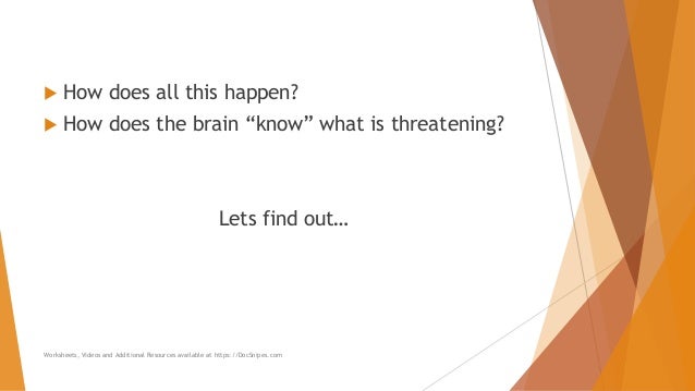 Mind Body Connection